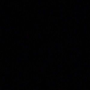 Meet your Posher, Brynn